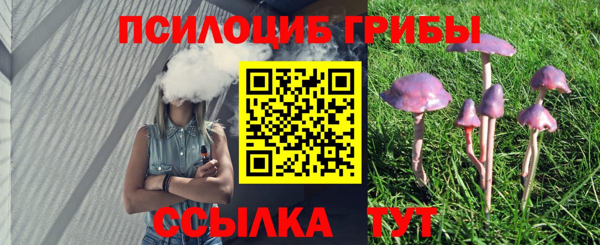 Псилоцибиновые грибы ЛСД Красноярск