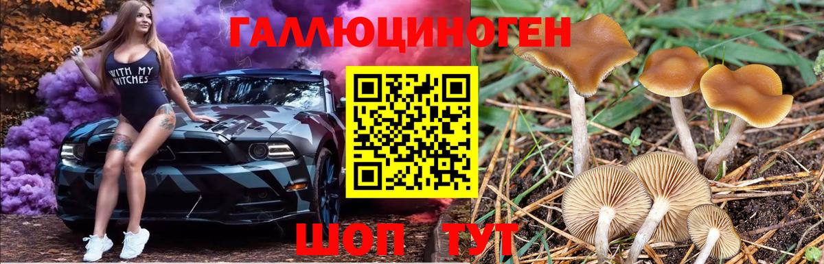 Красноярск  Псилоцибиновые грибы Cubensis  Вход с VPN  Галлюциногенные грибы ЛСД 